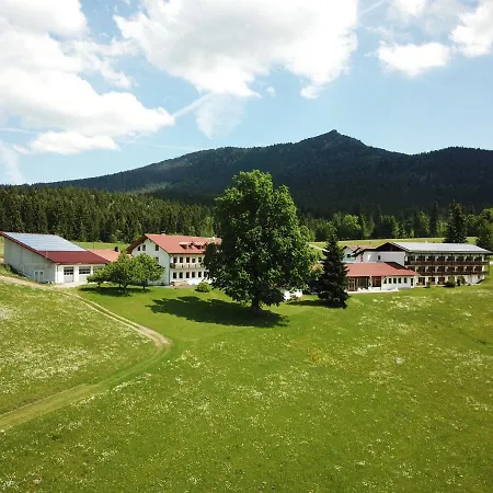 Hotel Osserhotel - Am Osser