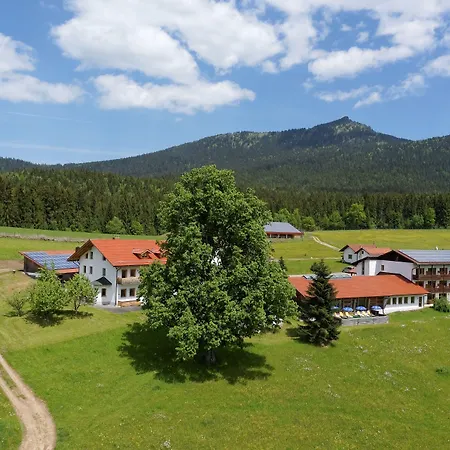 Osserhotel - Am Osser 酒店