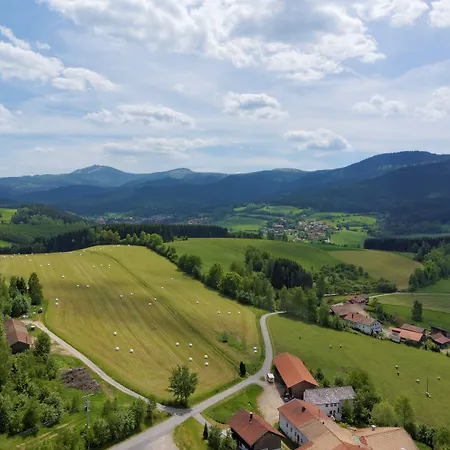 酒店 Osserhotel - Am Osser 洛恩堡