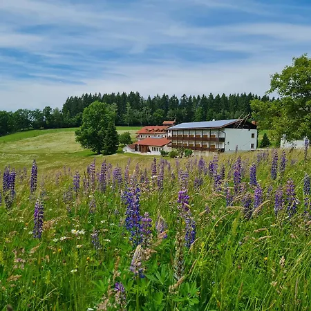 Osserhotel Garni Hotel Lohberg