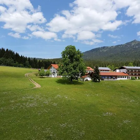 酒店 Osserhotel - Am Osser 3*