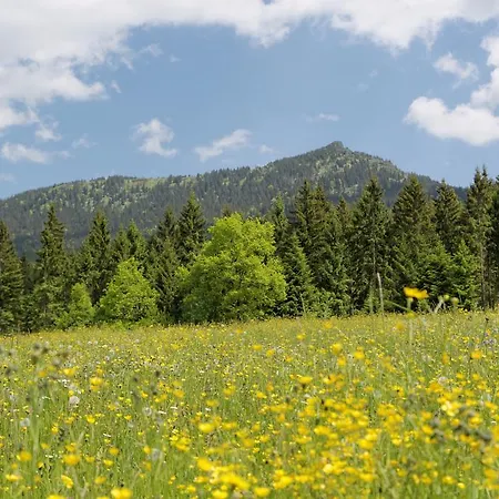 Osserhotel - Am Osser 洛恩堡