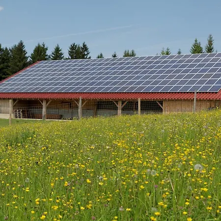 Osserhotel - Am Osser 洛恩堡