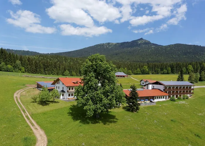 Osserhotel - Am Osser Hotel