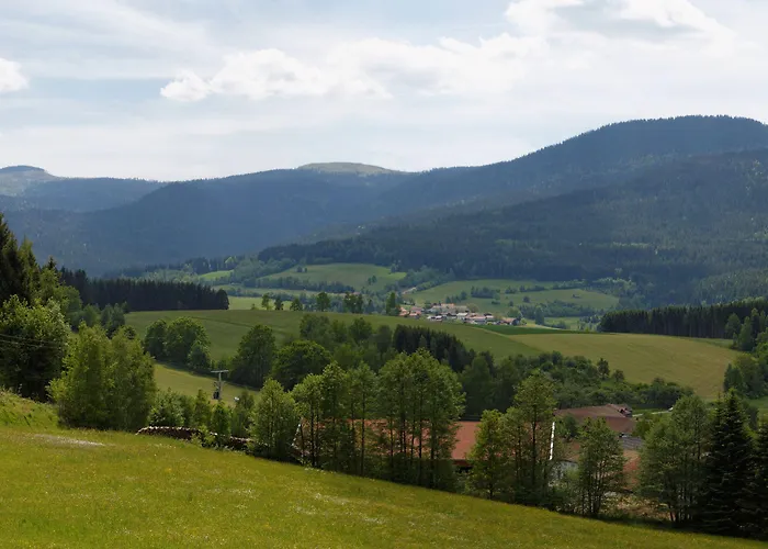 ホテル Osserhotel - Am Osser