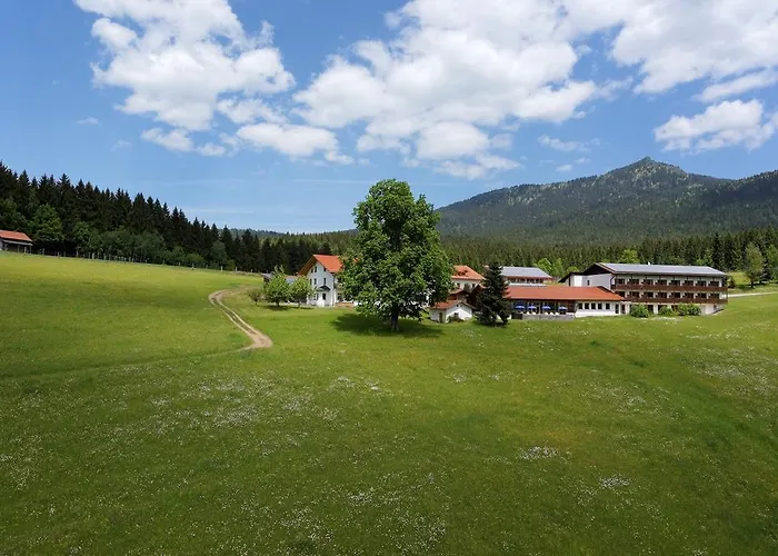 Hotel Osserhotel - Am Osser 3*