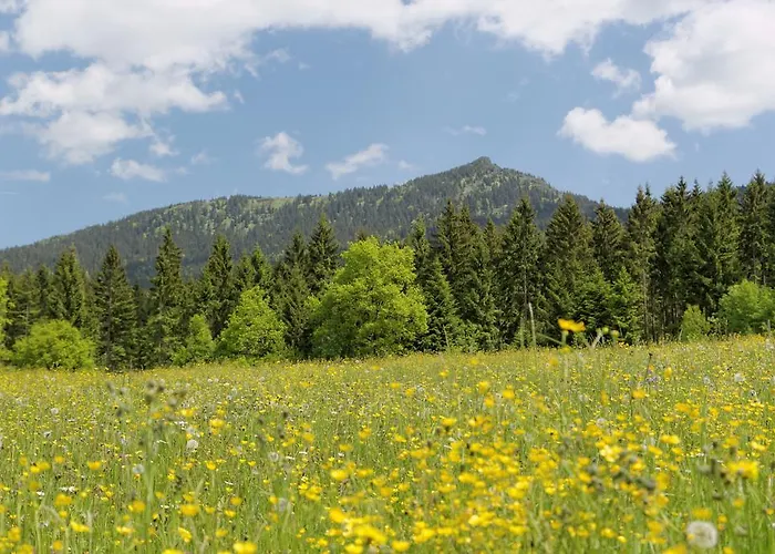 Osserhotel - Am Osser ローベルク