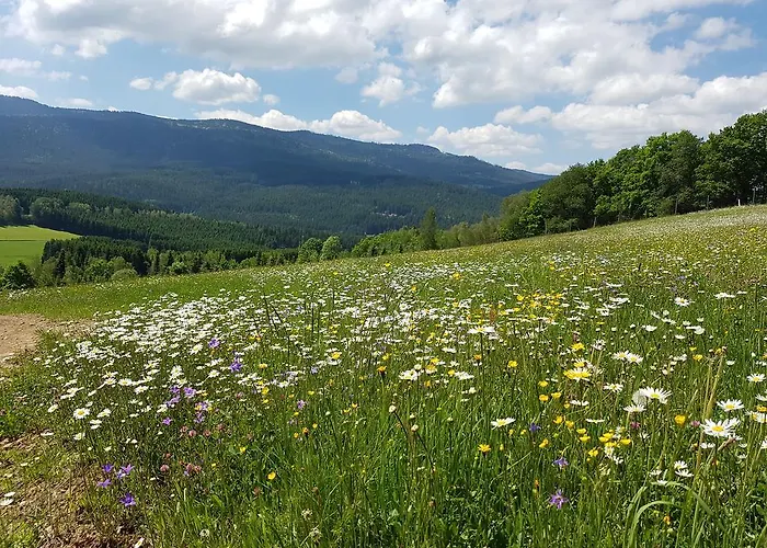 Hotel Osserhotel - Am Osser