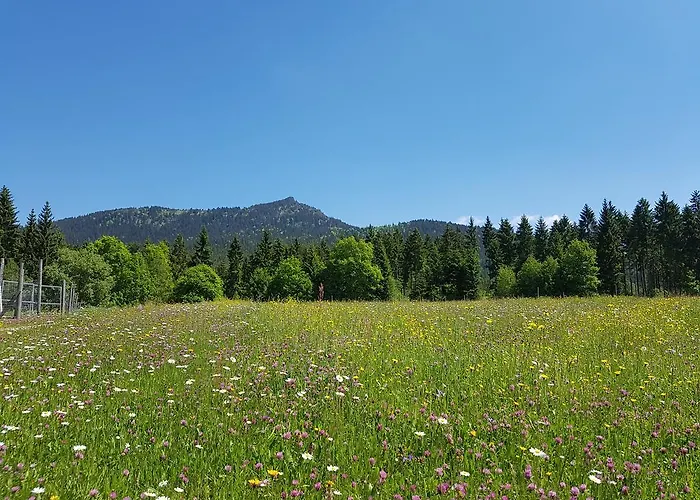 Osserhotel - Am Osser Hotel