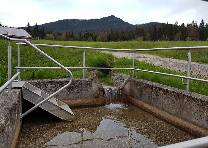 Hotel Osserhotel - Am Osser