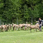 Osserhotel - Am Osser