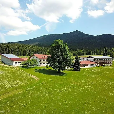 Osserhotel - Am Osser 3*