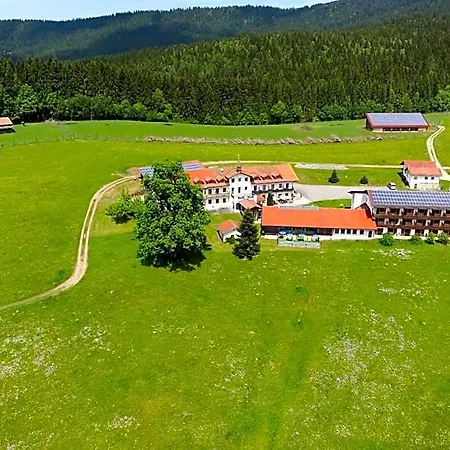 Szálloda Osserhotel - Am Osser Lohberg