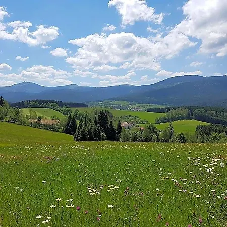 Osserhotel - Am Osser 3*