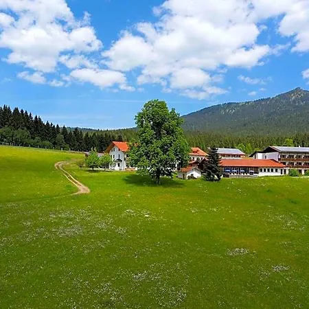 Osserhotel - Am Osser