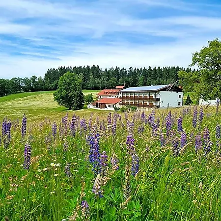 Szálloda Osserhotel - Am Osser Lohberg