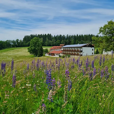 Hotel Osserhotel - Am Osser 3*