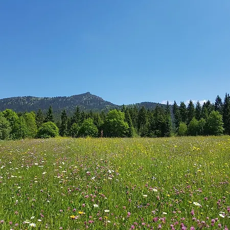 Osserhotel - Am Osser Hotel