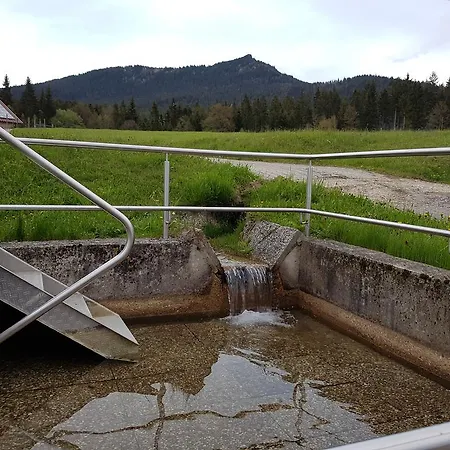 Hotel Osserhotel - Am Osser