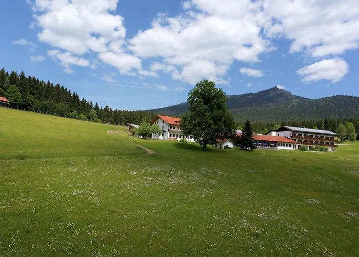 Osserhotel - Am Osser 3*
